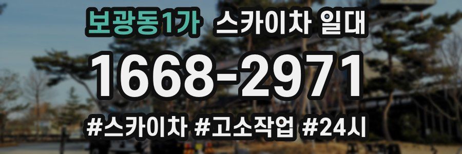 보광동1가 스카이차 일대
