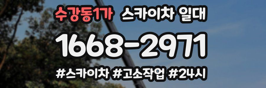 수강동1가 스카이차 일대