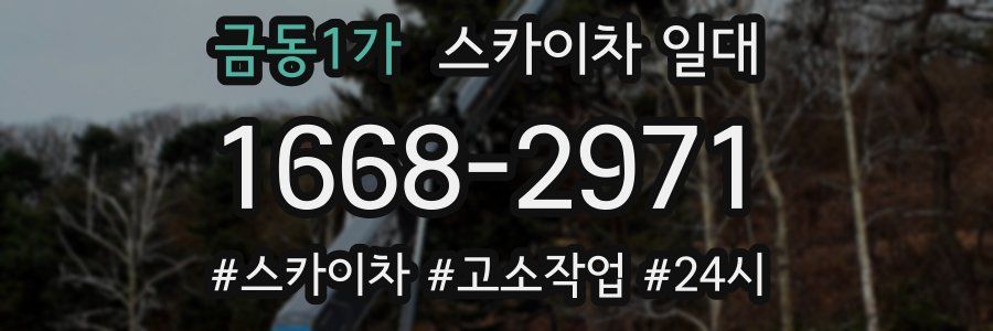 금동1가 스카이차 일대