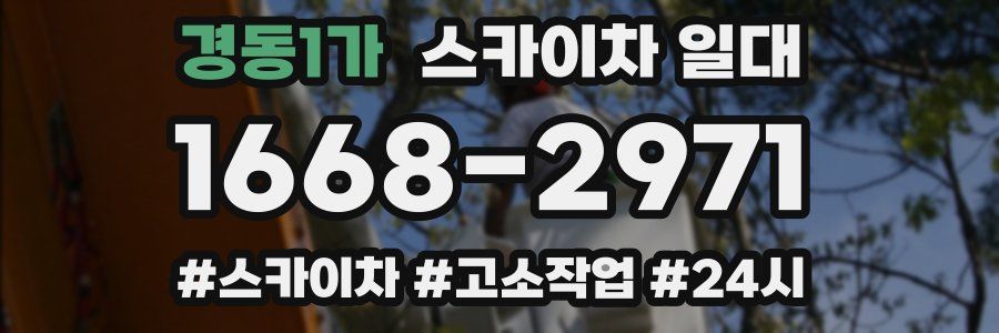 경동1가 스카이차 일대