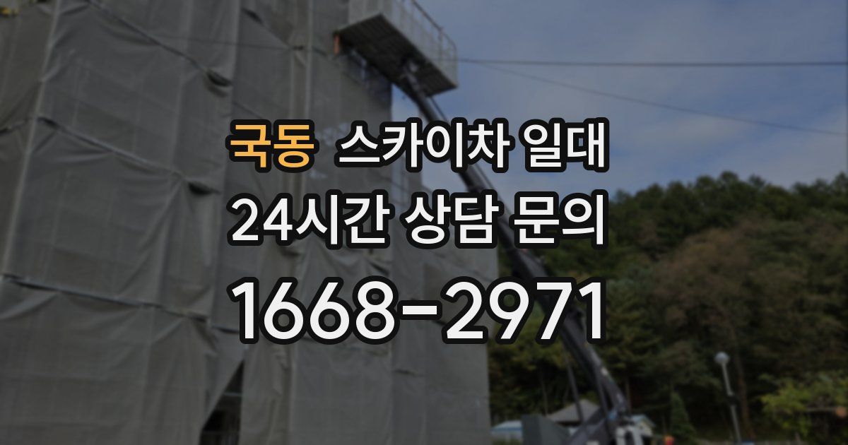 국동 스카이차 일대