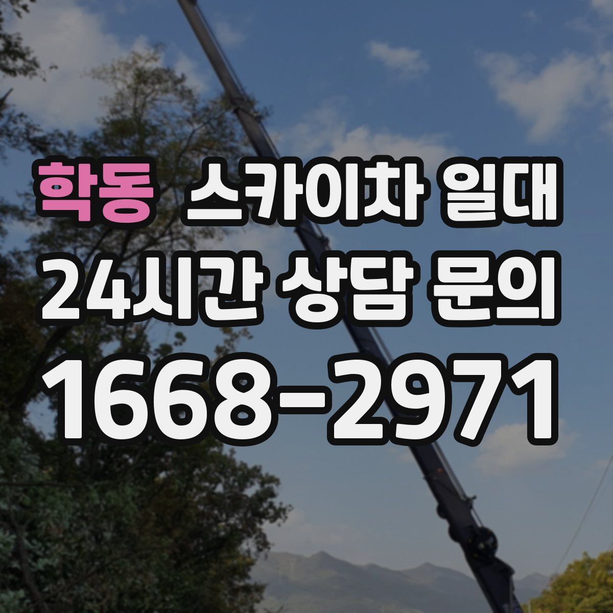 학동 스카이차 일대