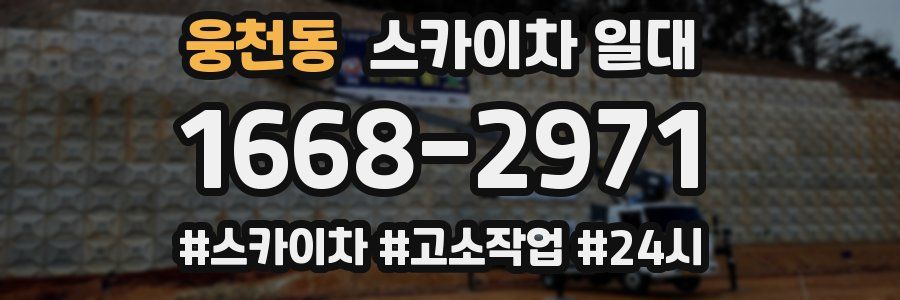 웅천동 스카이차 일대
