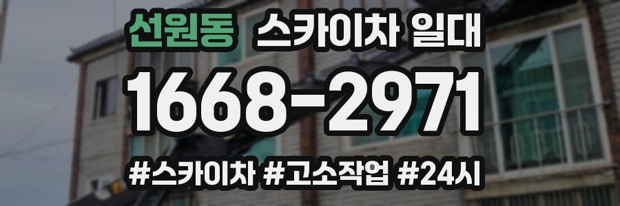 선원동 스카이차 일대
