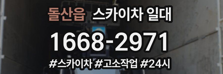 돌산읍 스카이차 일대