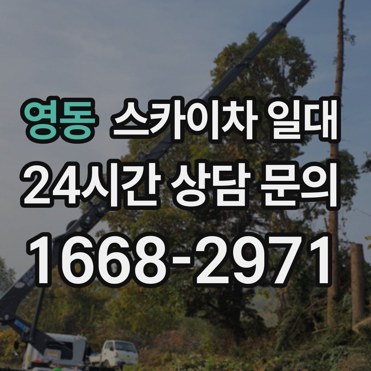 영동 스카이차 일대