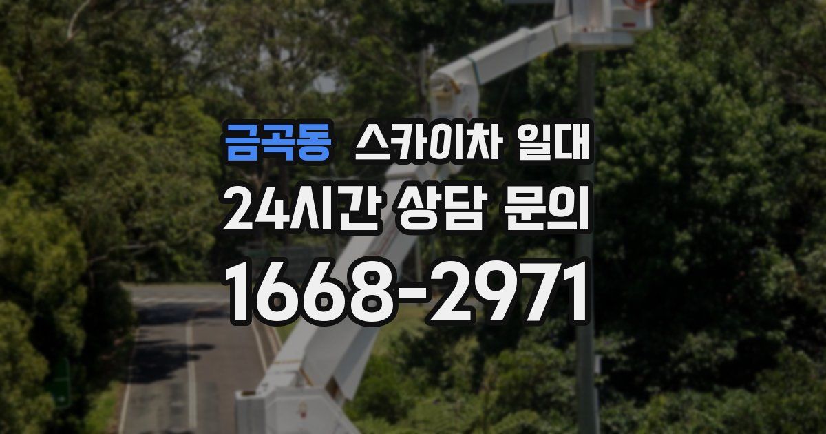 금곡동 스카이차 일대