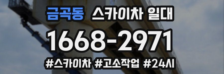 금곡동 스카이차 일대