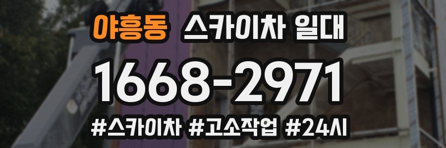 야흥동 스카이차 일대