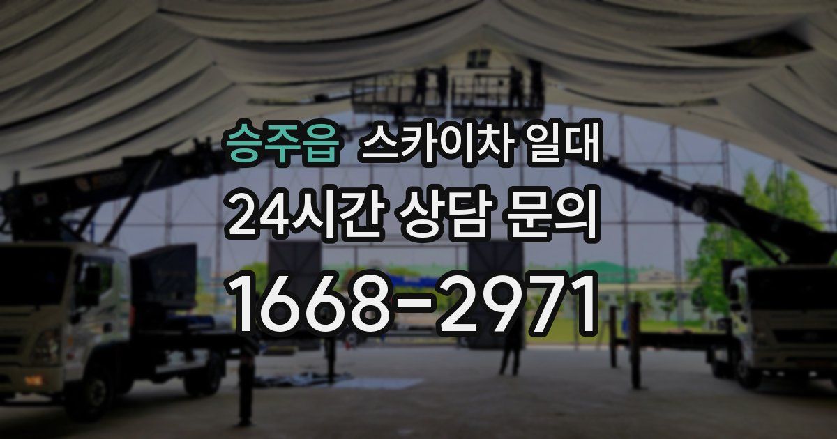 승주읍 스카이차 일대