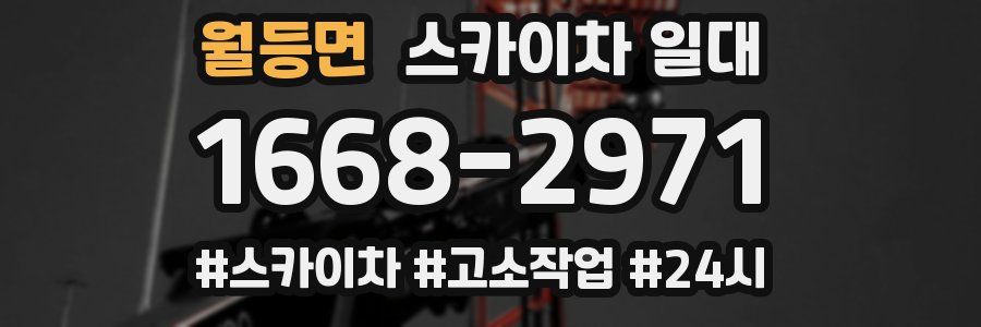 월등면 스카이차 일대