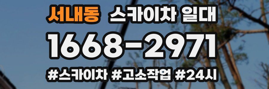 서내동 스카이차 일대