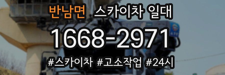 반남면 스카이차 일대