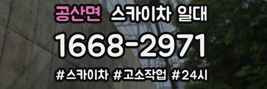 공산면 스카이차 일대