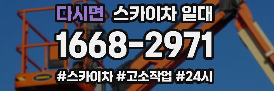 다시면 스카이차 일대