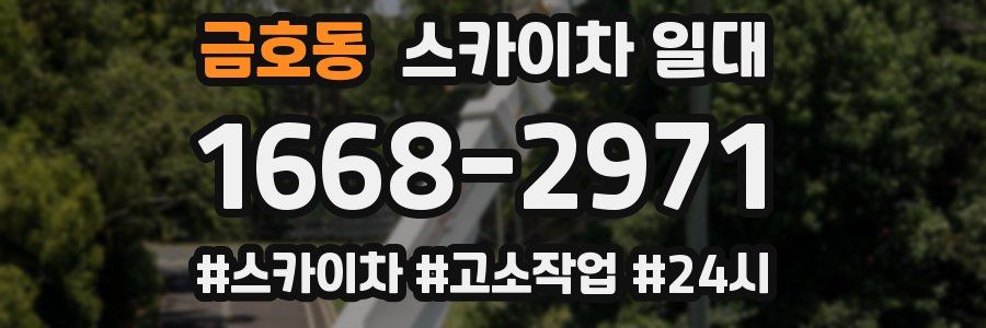금호동 스카이차 일대
