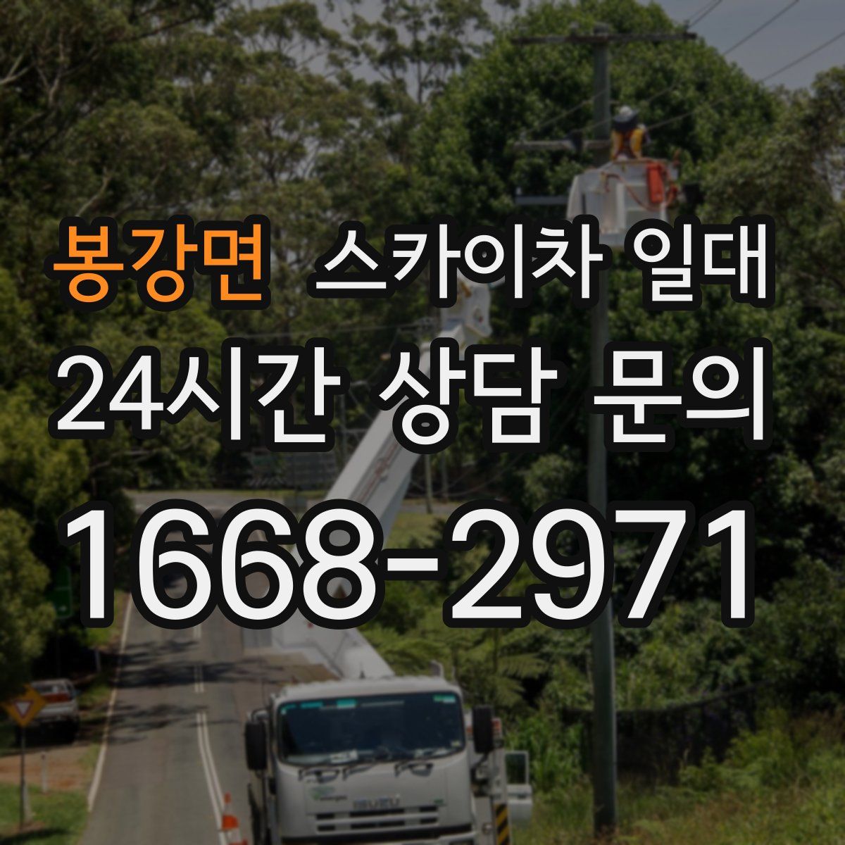 봉강면 스카이차 일대