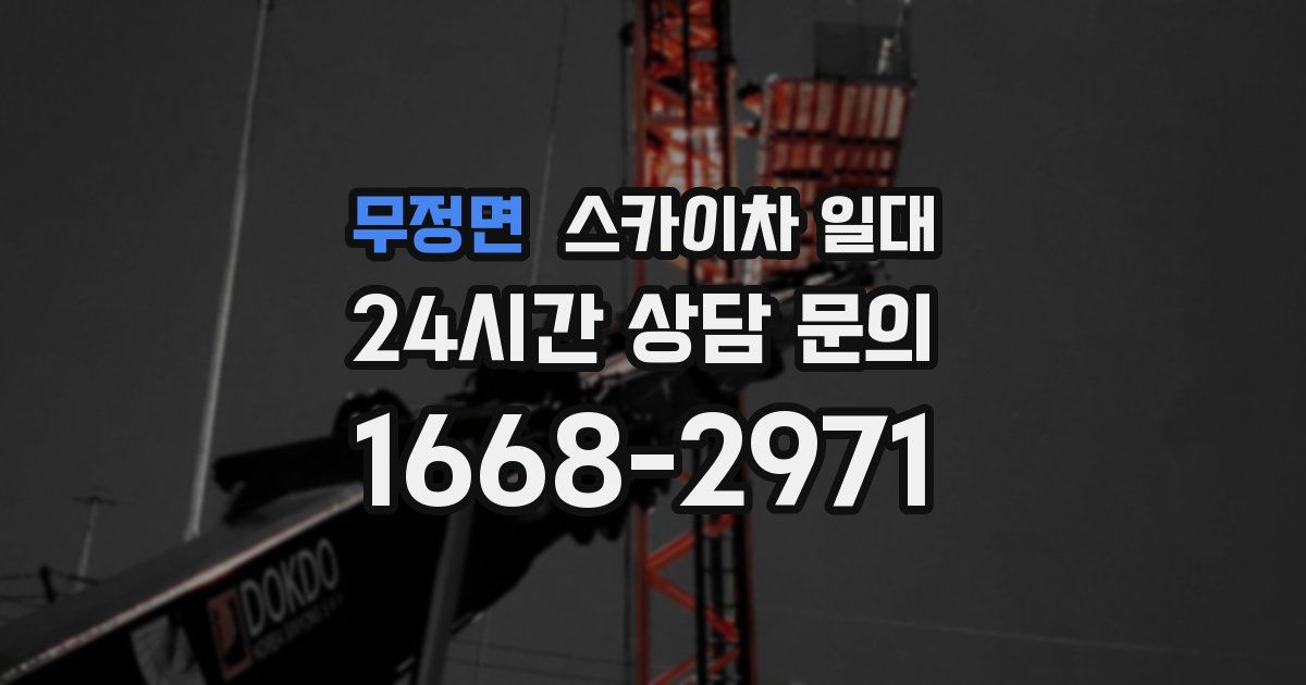 무정면 스카이차 일대