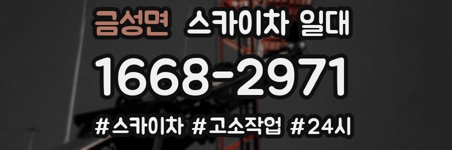 금성면 스카이차 일대