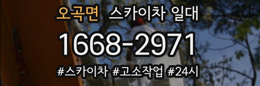 오곡면 스카이차 일대