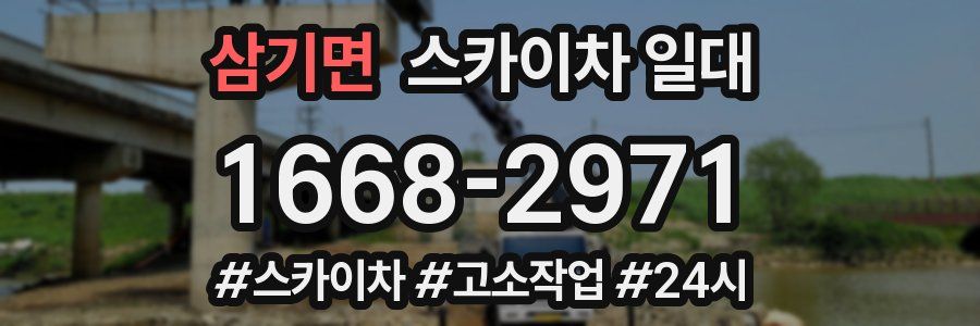 삼기면 스카이차 일대