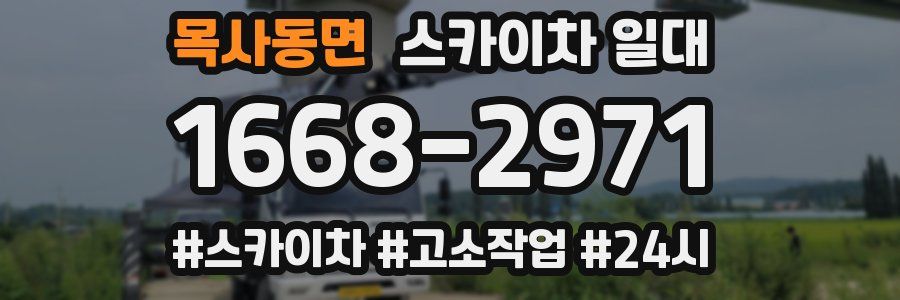 목사동면 스카이차 일대