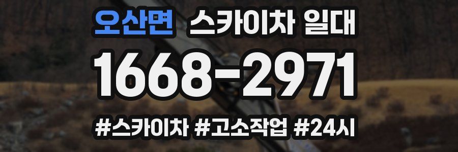 오산면 스카이차 일대