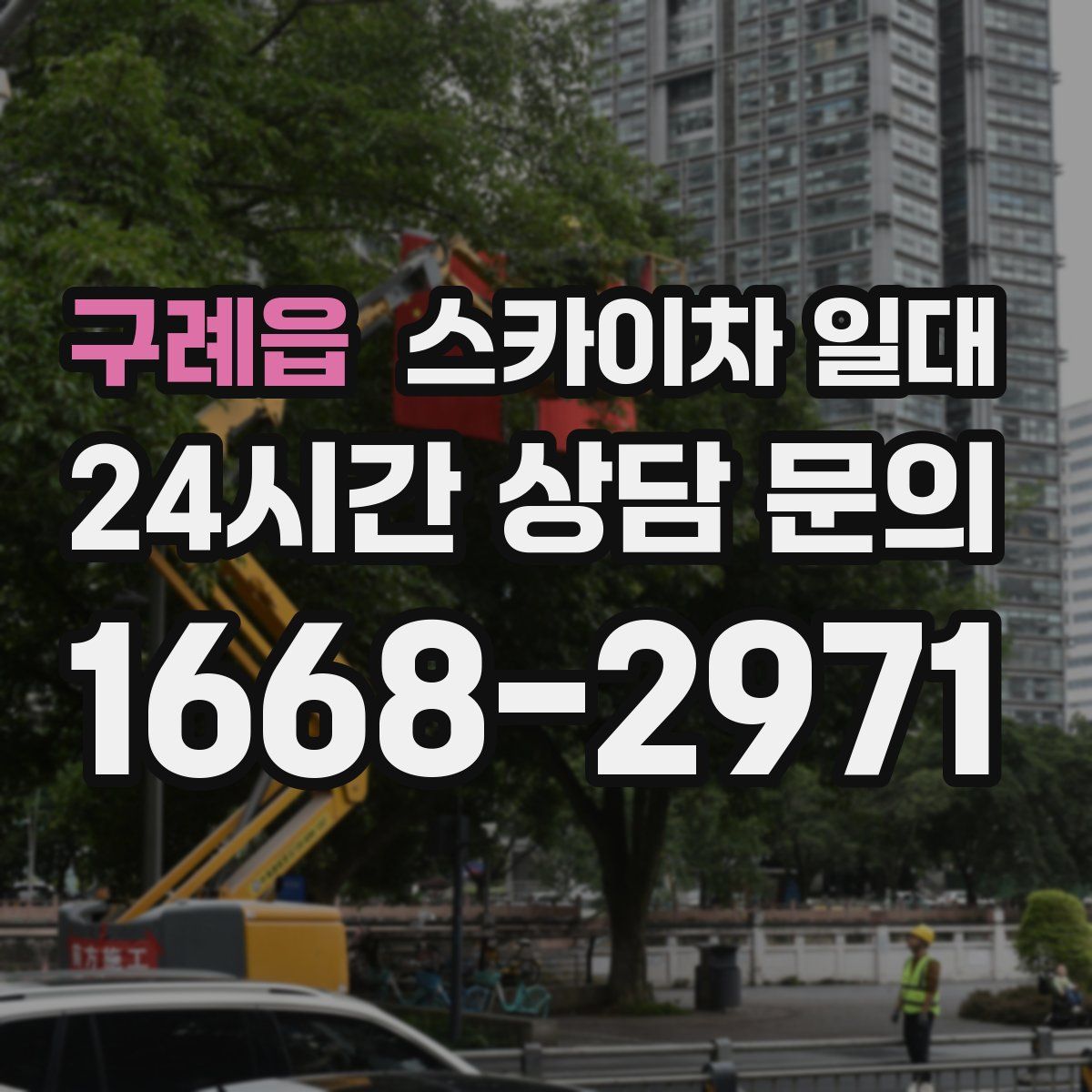 구례읍 스카이차 일대