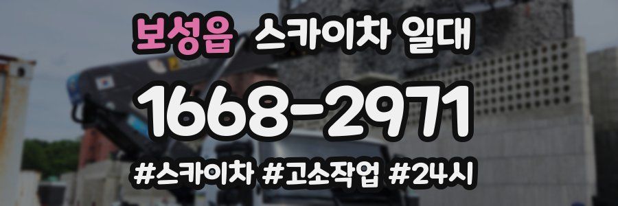 보성읍 스카이차 일대