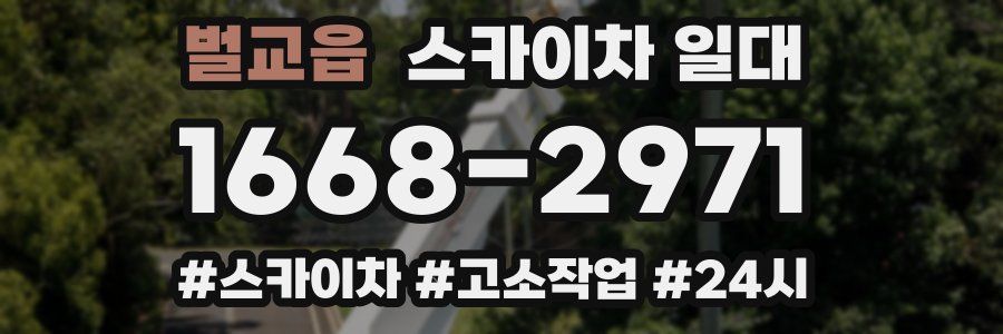 벌교읍 스카이차 일대