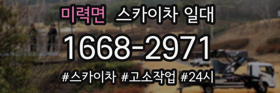 미력면 스카이차 일대
