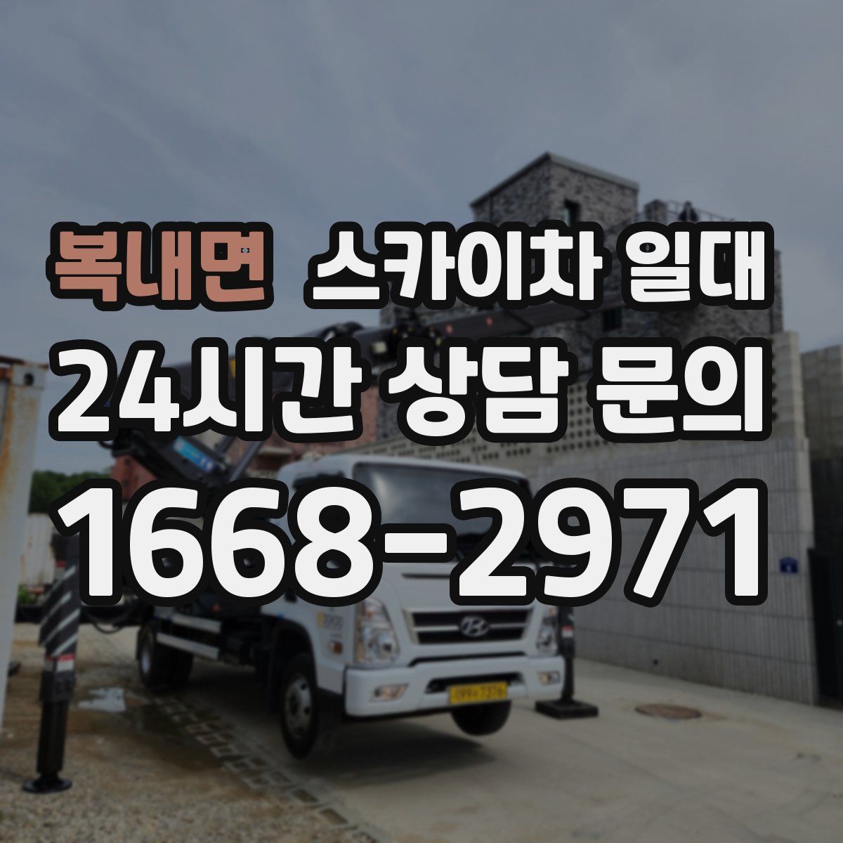 복내면 스카이차 일대