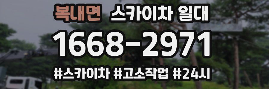 복내면 스카이차 일대