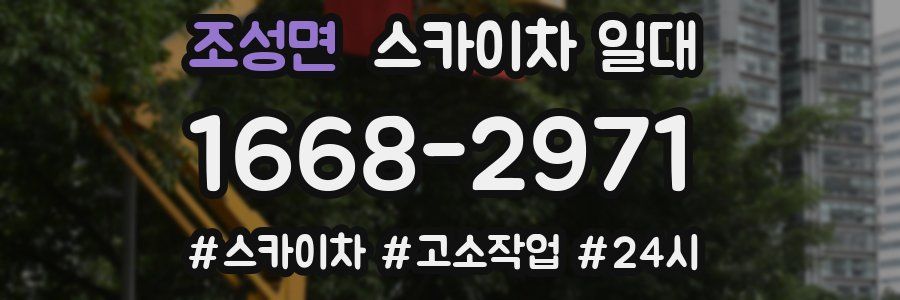 조성면 스카이차 일대