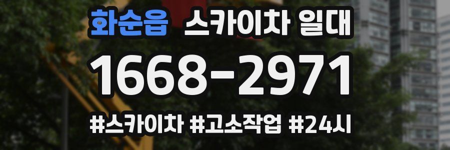 화순읍 스카이차 일대