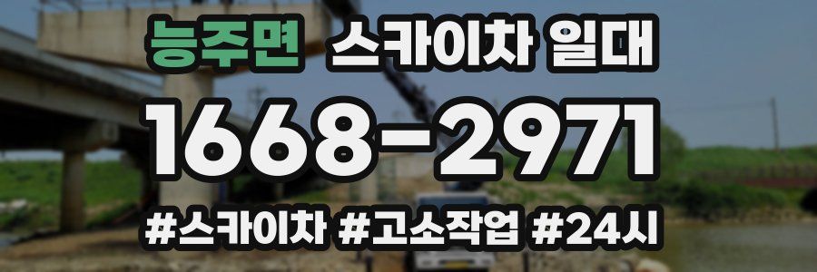 능주면 스카이차 일대