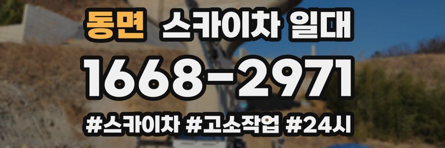 동면 스카이차 일대