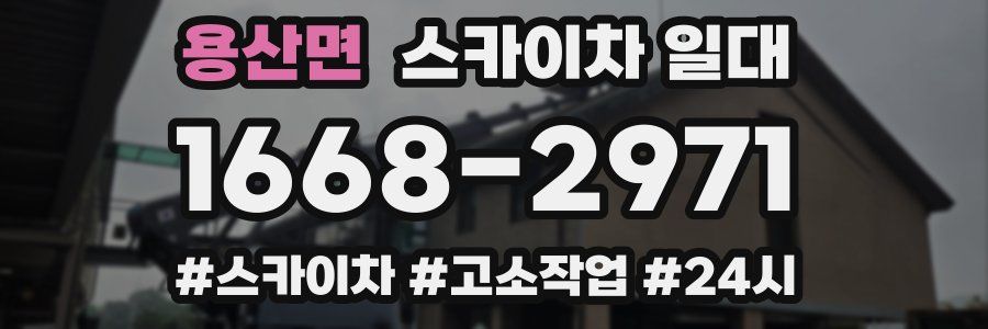 용산면 스카이차 일대
