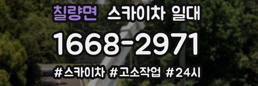 칠량면 스카이차 일대