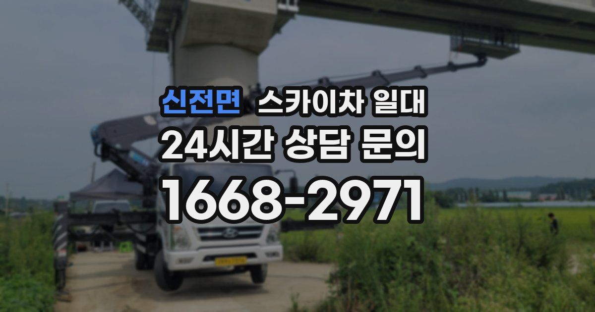 신전면 스카이차 일대