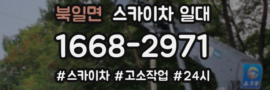 북일면 스카이차 일대