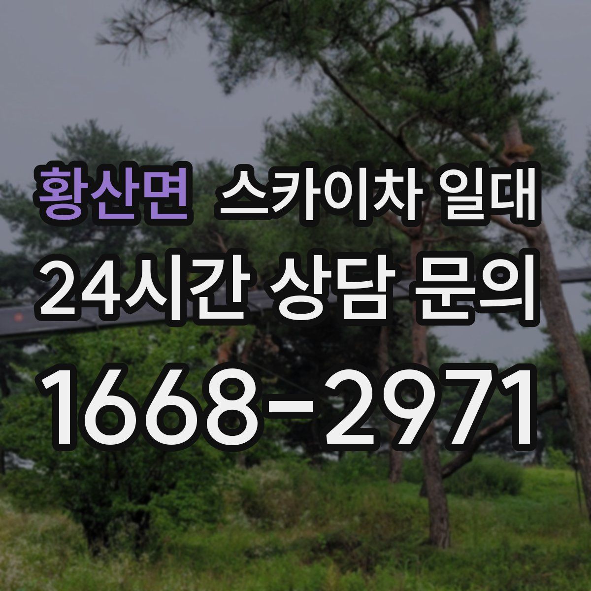 황산면 스카이차 일대