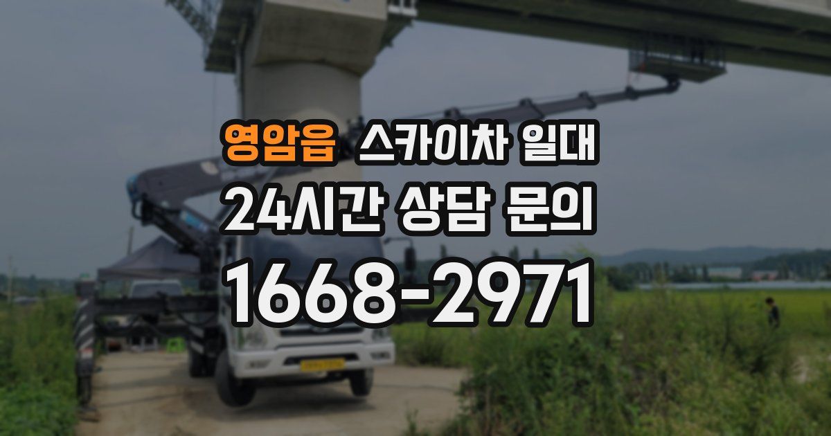 영암읍 스카이차 일대