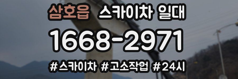 삼호읍 스카이차 일대