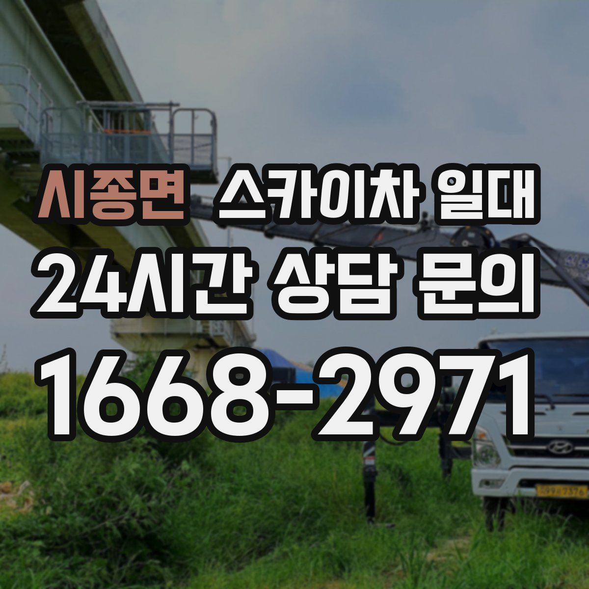 시종면 스카이차 일대