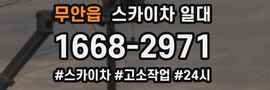 무안읍 스카이차 일대