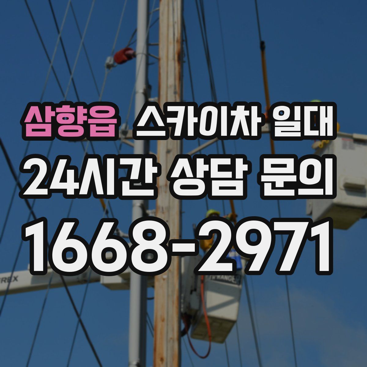 삼향읍 스카이차 일대