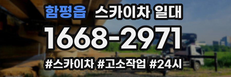 함평읍 스카이차 일대