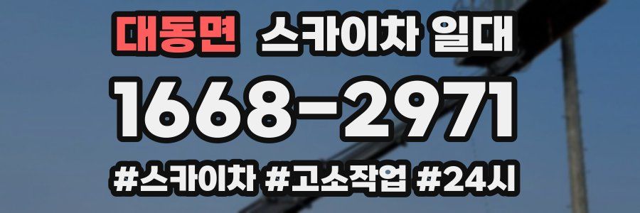 대동면 스카이차 일대