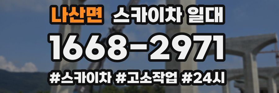 나산면 스카이차 일대